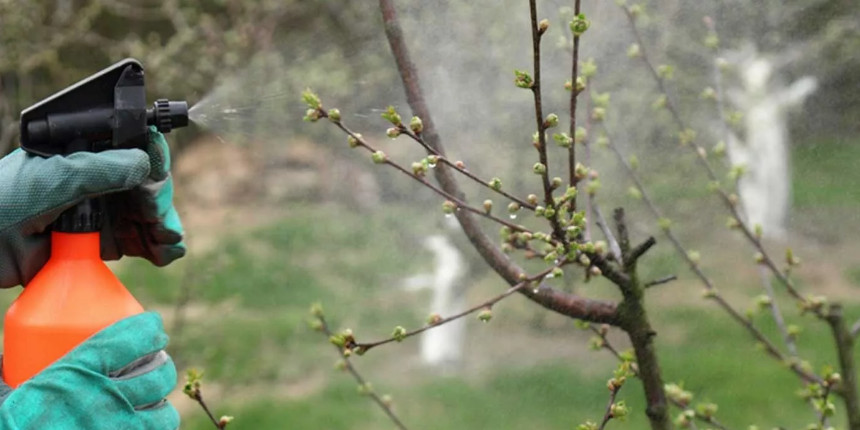 ВЕСЕННЯЯ ОБРАБОТКА СМОРОДИНЫ ОТ БОЛЕЗНЕЙ И ВРЕДИТЕЛЕЙ.ПРОВЕРЕННЫЙ 100%СПОСОБ. смотреть онлайн