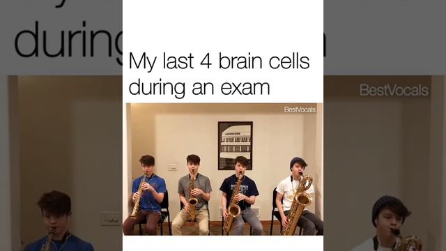 My last 4 brain cells during an exam смотреть онлайн