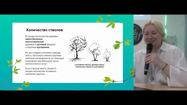 Как мы считаем деревья? смотреть онлайн