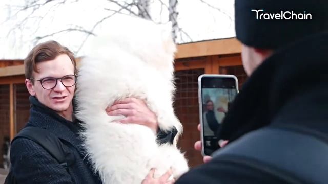 ты просто чудо из чудес смотреть онлайн