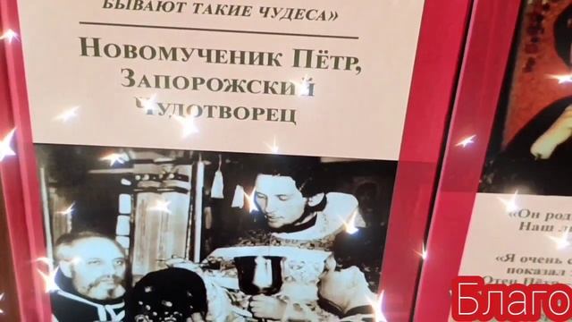 Кратко о книге "Новомученик Пётр, Запорожский Чудотворец". смотреть онлайн