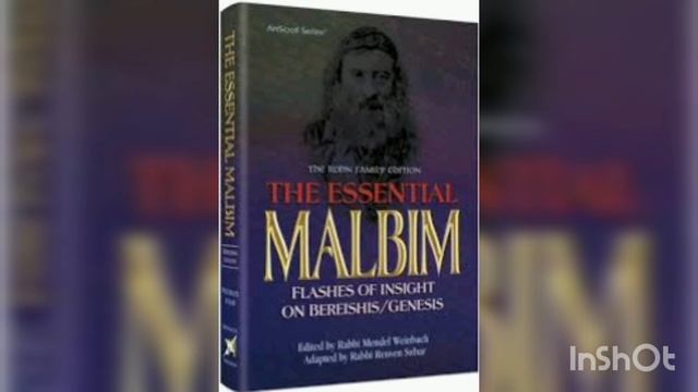 Malbim Rabino Meir Lebush 1809-1879 Epoca Ajaronim (Ucrania) смотреть онлайн