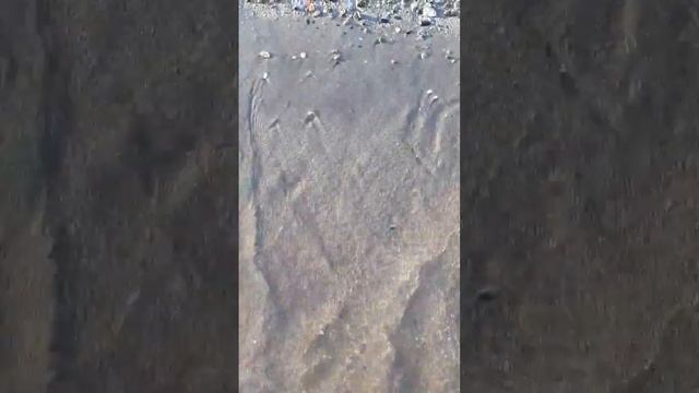 #лето #море #отдых #отпуск #каникулы #2023 #август #пляж #солнце #песок #волна #лето2023 #жара смотреть онлайн