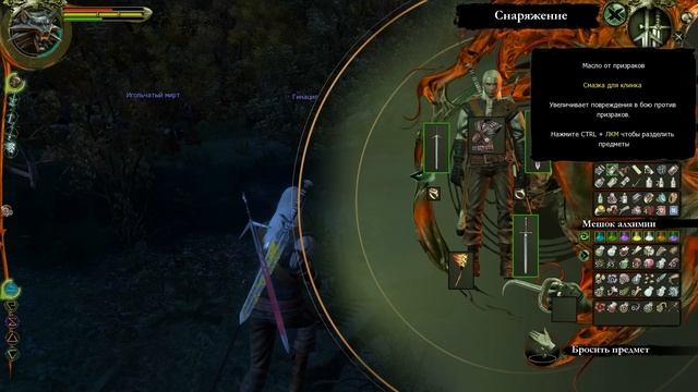 Прохождение The Witcher: Серия №26 - Владычица Озера смотреть онлайн