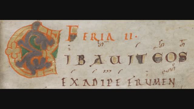 Cibauit eos ex adipe frumenti