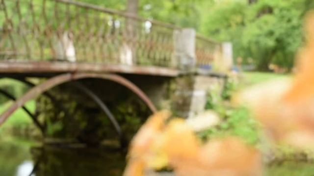 ФУТАЖ ВЕТКА ДУБА И СТАРЫЙ МОСТ смотреть онлайн