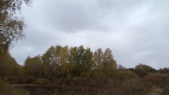 Охота на утку. Подборка лучших моментов сезона 2019. Охота. Рыбалка. смотреть онлайн