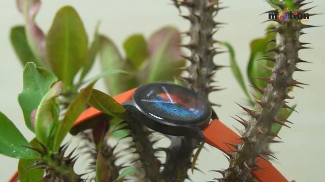 IMILAB W13 Calling Smartwatch এই বাজেটে কিভাবে সম্ভব? смотреть онлайн