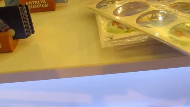 Анталия - магазин сувениров в Океанариуме. 13.05.2014 смотреть онлайн