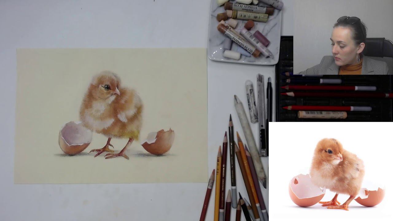 Мастер-класс по пастельной живописи «Цыпленок» | Как нарисовать цыпленка поэтапно смотреть онлайн