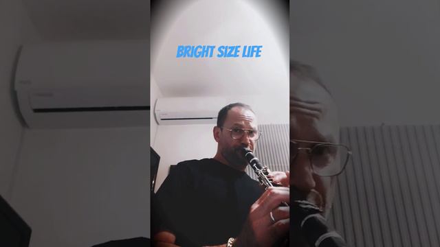 Bright size life - Pat Metheny (clarinet version) смотреть онлайн