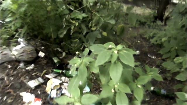 Свиньи. Свинство, это о людях версия от 05 08 17 смотреть онлайн