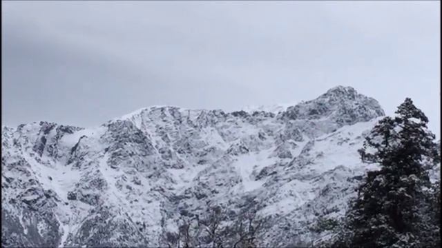 Trek to Tungnath - Combination of Rhododendron(Boraansh) and snow смотреть онлайн
