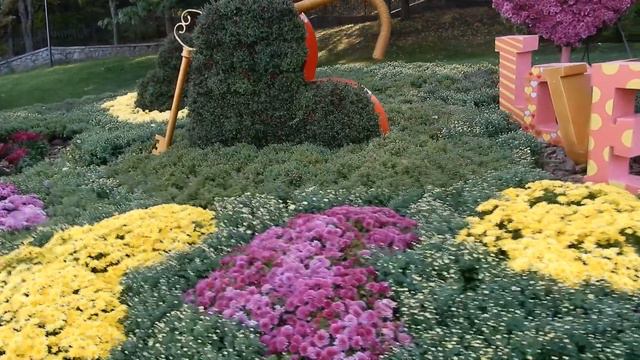Мой Киев. Красивая осень на " СПІВОЧОМУ ПОЛІ " Выставка хризантем. смотреть онлайн