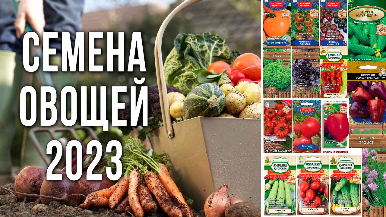 Семена овощей. Новинки сортов и гибридов томатов, огурцов, перцев 2023. Выращивание микрозелени.