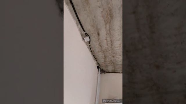 Коттедж. Габишево. смотреть онлайн