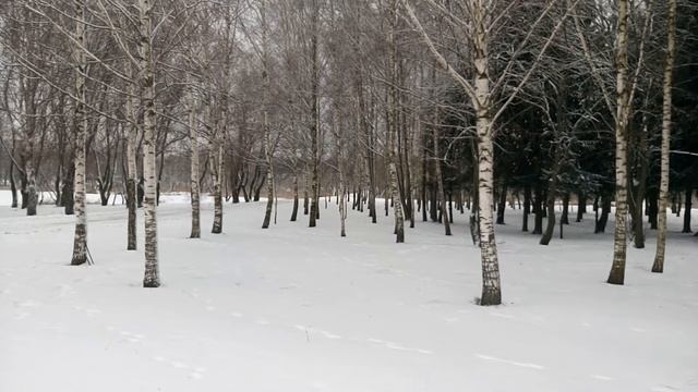 Почему СТАРОСТЬ ЭТО НЕ СТРАШНО смотреть онлайн