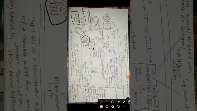 HIV virus detailed explanation part 2 смотреть онлайн