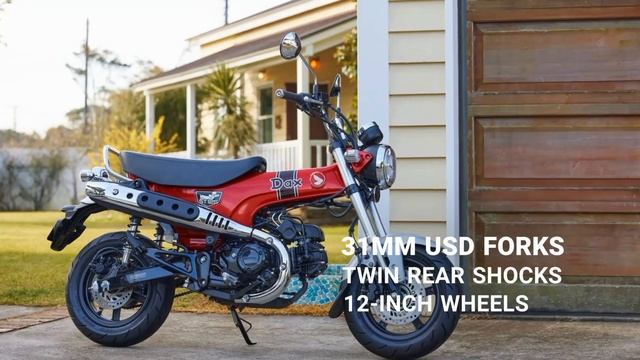 2023 Honda Dax ST125 Minimoto: Colors, Specs, Features смотреть онлайн