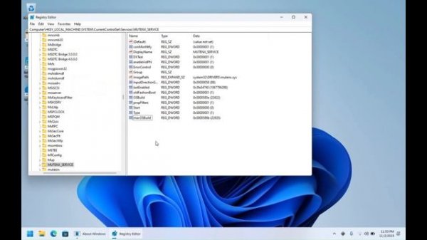 How to make ASTER support Windows 11 Build 22635 23H2