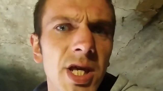 Купил маленьких поросят пробую выкормить к Новому году. Димка Пустовит смотреть онлайн