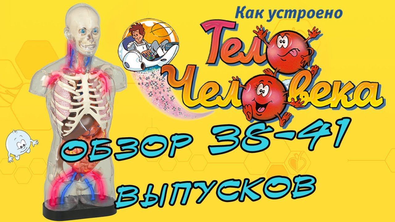 Как устроено тело человека | DeAgostini | 38-41 выпуски смотреть онлайн