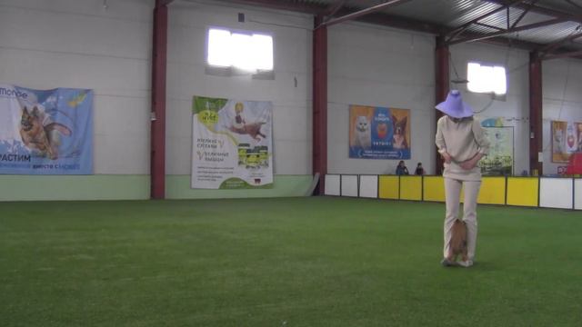 Шадричева Оксана и РЭМ класс Дебют Фристайл смотреть онлайн