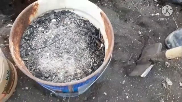 #Шелковица#чернаябаронесса.#посадка Шелковица..Посадка шелковицы. смотреть онлайн