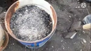 #Шелковица#чернаябаронесса.#посадка   Шелковица..Посадка шелковицы.