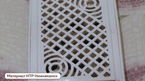 Борьба с насекомыми и грызунами в многоквартирных домах