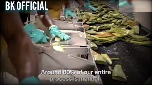 How 1.5 million Aloe vera Leaves are Harvested a week Big Business. смотреть онлайн