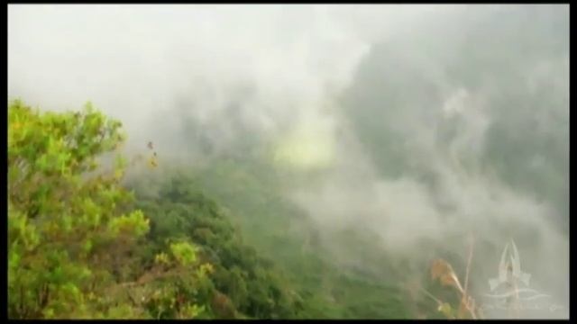 Horton Plains, Sri Lanka. смотреть онлайн