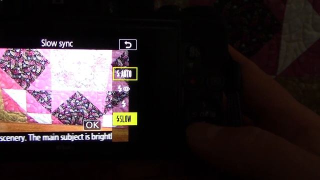 Nikon Coolpix A1000 Tutorial #2 - Auto Mode Basics - Focus, Flash & Playback смотреть онлайн