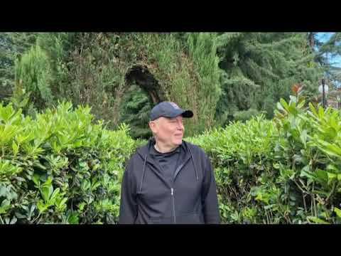 "Алая черешня" смотреть онлайн