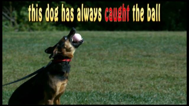 How do we use catch in the simple past tense? What does catch mean? смотреть онлайн