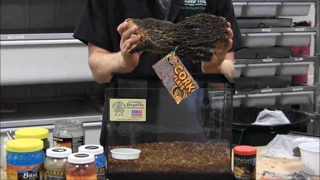 How to Set Up Hissing Cockroaches смотреть онлайн