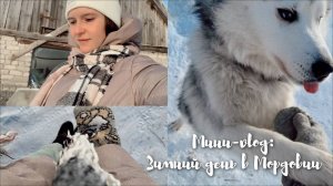 Мини vlog : зимний день в Мордовии / хаски / ватрушки