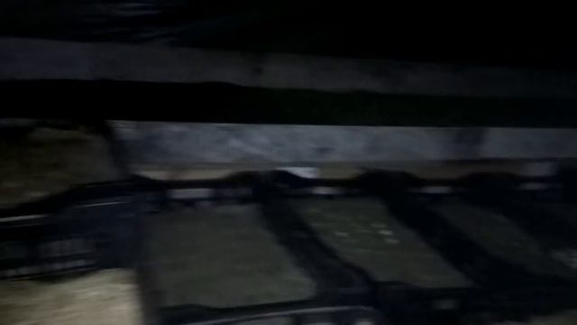 Выгонка тюльпана на 2019 год. Выращиваем тюльпан! смотреть онлайн