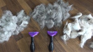 Что такое фурминатор для кошек и как он работает? ❤️ Испробовала новинку на своих домашних питомцах