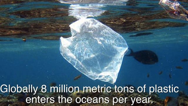 The effects of ocean pollution смотреть онлайн