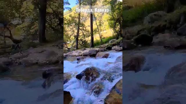 Джамагатское ущелье, Теберда, Кавказ. территория тебердинского биосферного заповедника . смотреть онлайн