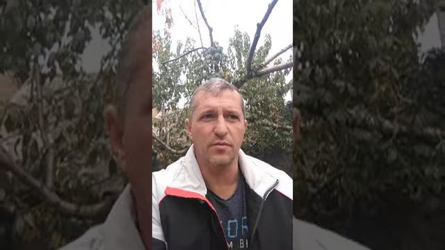 Утро с Библией (10.10.20) смотреть онлайн