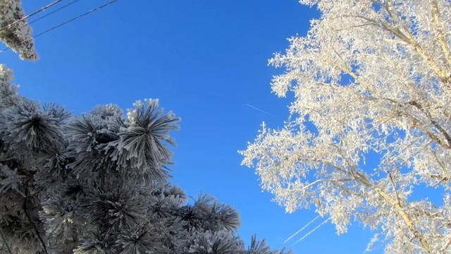 Мелодия Сибирской зимы.wmv смотреть онлайн