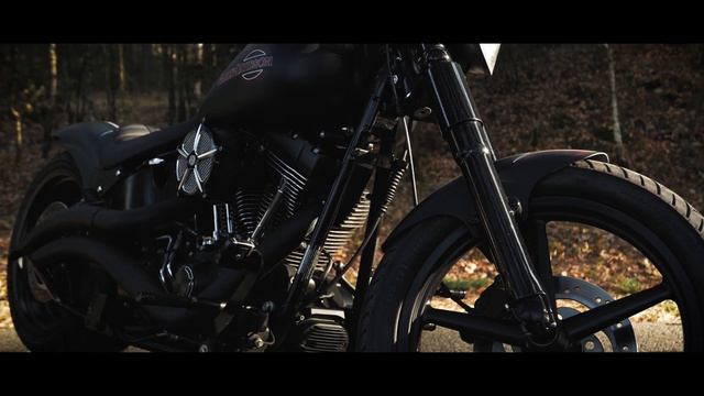 Harley Davidson FLSTC Heritage | Custom bike POLAND | Panasonic Lumix LX100 [4K] смотреть онлайн