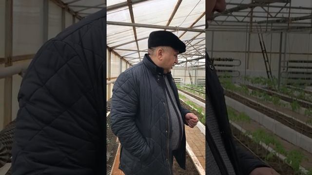 Жидкий биогумус ВермиТех-Плюс смотреть онлайн