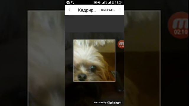 Как поставить фото на YouTube смотреть онлайн