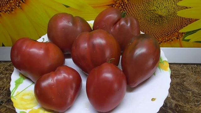 Томатные Гномы, проверенные временем. Томатный Гном Пурпурное сердце. Дегустация. смотреть онлайн