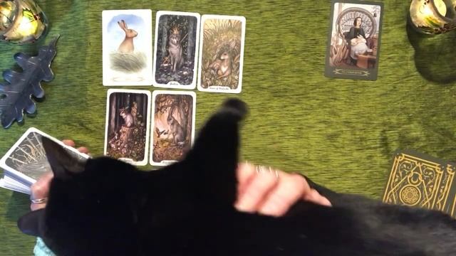 Pisces: A Sense of Entitlement! (10 - 24 May 2021) смотреть онлайн