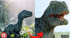 I'm a Big Kid Now - Animals Transformation.I'm a Big Kid Now - Animals Transformation..Tik Tok On To