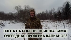 Охота на бобра. Очередная проверка капканов
